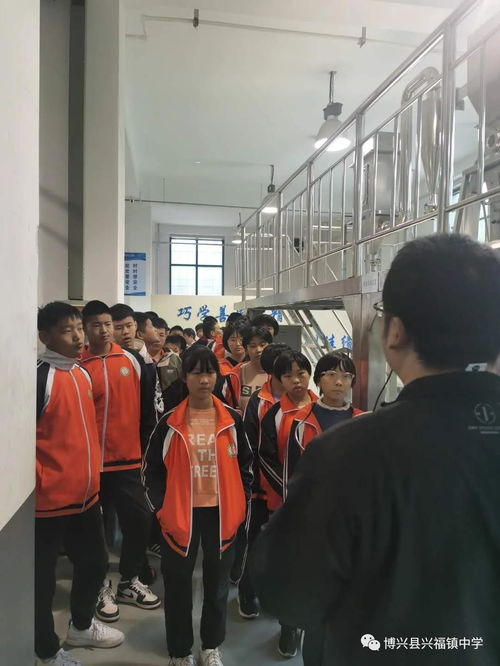 強化實踐育人意識,完善實踐教學(xué)體系 興福鎮(zhèn)中學(xué)初二學(xué)生社會實踐活動紀實